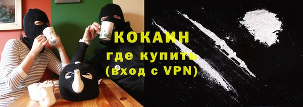 стаф Каменка