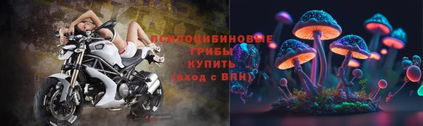 стаф Каменка