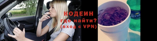 стаф Каменногорск