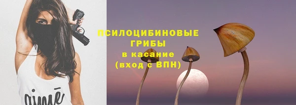 ГАЛЛЮЦИНОГЕННЫЕ ГРИБЫ Киренск