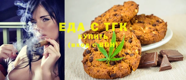стаф Каменка