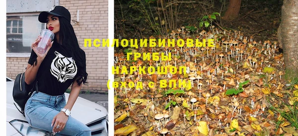 ГАЛЛЮЦИНОГЕННЫЕ ГРИБЫ Киренск