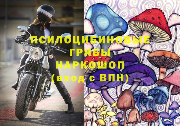 ГАЛЛЮЦИНОГЕННЫЕ ГРИБЫ Киренск