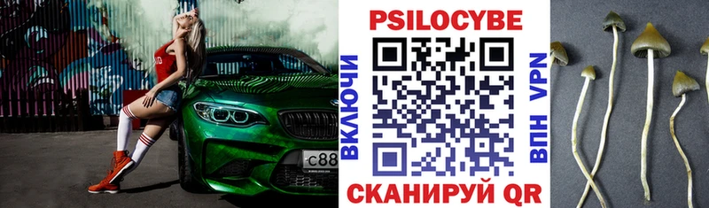 Купить  Кирсанов  Галлюциногенные грибы Psilocybine cubensis 